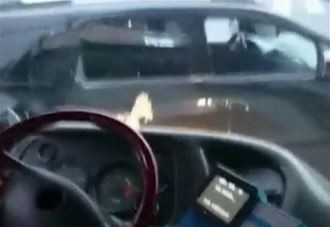 Relatos salvajes: Un automovillista rompió el vidrio de un colectivo que iba lleno