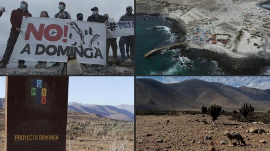 Refugio de pingüinos y nutrias amenazado por un proyecto minero