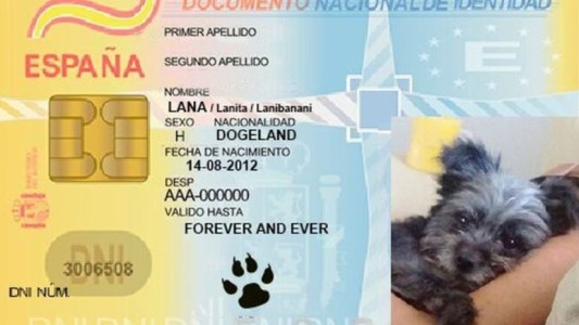 España instala el DNI obligatorio para perros y gatos (1)