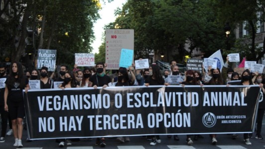 Veganos marcharon para visibilizar "la explotación que siguen padeciendo los animales"