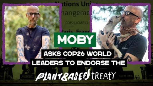 Ambientalistas argentinos impulsan en la COP26 un "acuerdo basado en plantas"