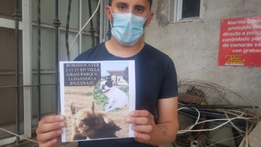 En 20 minutos, robaron hasta los dos perros de la casa