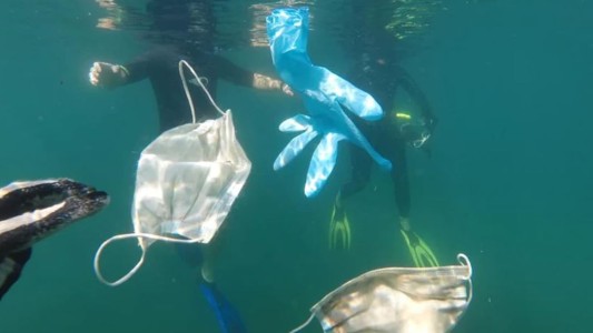 ¿Por qué hay que cortar las gomas de los barbijos antes de tirarlos?