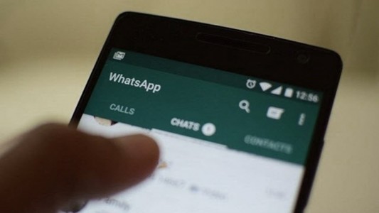 Se puede consultar por WhatsApp información de las elecciones legislativas