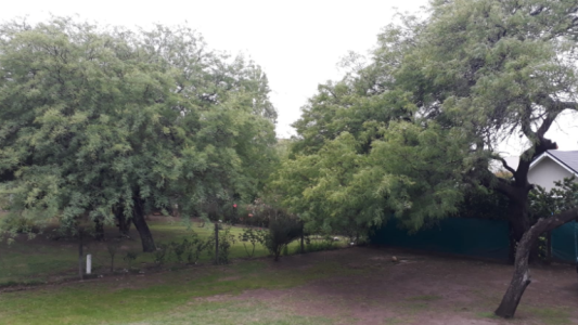 Frente frío, alerta por fuertes vientos, máxima 21°