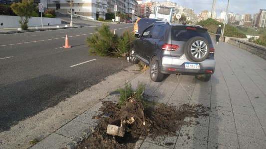 Video: así chocó el joven alcoholizado que circulaba a contramano y borracho en Mar del Plata