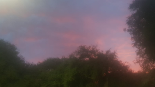 Caluroso, probables chaparrones, máxima 26°