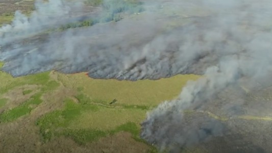 Incendio en el Parque Nacional Ciervo de los Pantanos: investigan si fue intencional