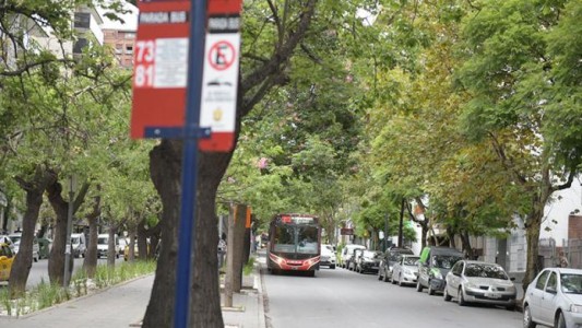 Paro de transporte: FETAP pidió la conciliación obligatoria