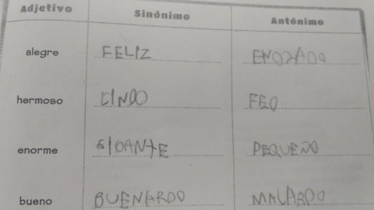 La insólita respuesta de un niño en un exámen que le preguntaron el sinónimo de "Bueno"