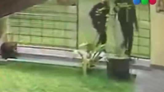 Resistió a tiros un robo en su casa en Florencio Varela, mató a un ladrón e hirió a otros dos