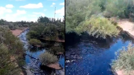 Evalúan un derrame de petróleo en Río Negro: la empresa responsable deberá presentar un seguro de caución ambiental
