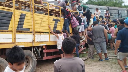 Video: un tren chocó con un camión que llevaba vacas y vecinos las faenaron en el lugar