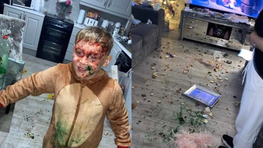 Contrató un imitador del Grinch para animar la Navidad y le destrozó la casa