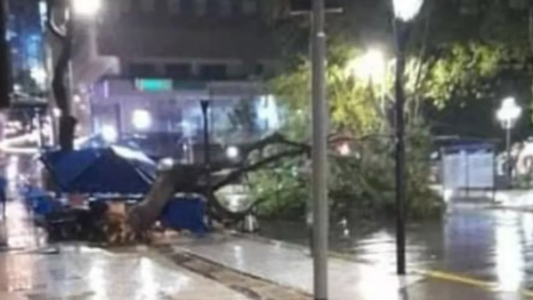 Sur provincial: furioso temporal provocó destrozos en Río Cuarto y zona aledaña