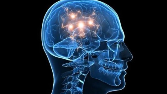 Científicos argentinos convierten células de la piel en neuronas para estudiar un tipo de epilepsia