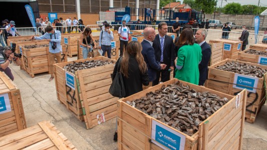 Lucha contra la inseguridad: destruyeron más de 14.000 armas