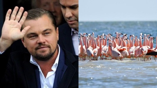 Posteo: Leonardo DiCaprio apoyó la creación de un nuevo parque nacional en Argentina