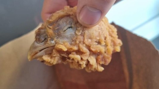 Pidió alitas de pollo y encontró la cabeza de la gallina