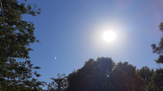 Muy caluroso, alerta amarilla por calores extremos, máxima 38°