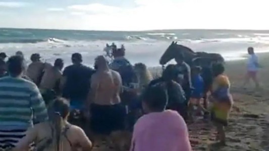 Mar del Plata: Fue a la playa a caballo y turistas intentaron detenerlo a los golpes