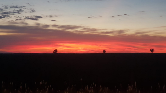 Caluroso y húmedo, parcialmente nublado con probabilidad de tormentas fuertes por la noche