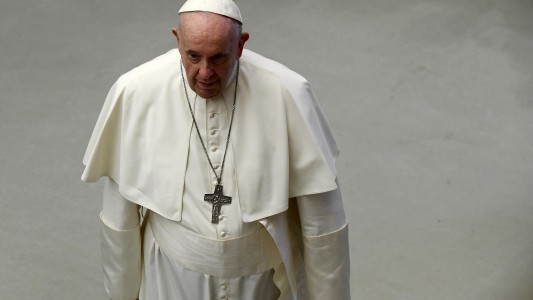 El Papa lamentó al resistencia a la paternidad de los jóvenes: "Los perros y gatos ocupan el lugar de los hijos"