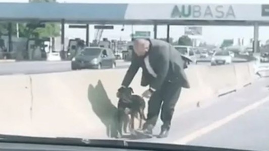 Video: Iba por la autopista, vio un perrito en el peaje y decidió rescatarlo