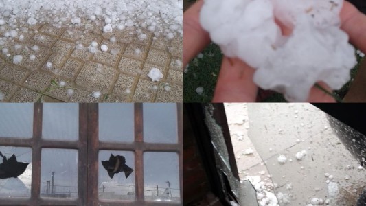 "El alivio" tras la ola de calor: árboles caídos y vidrios rotos tras las tormentas en Córdoba