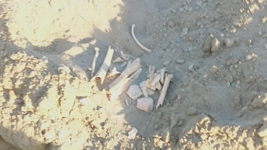 Encontraron restos óseos de unos 60 años de antigüedad en Carmen de Patagones: "Serían más de diez cuerpos