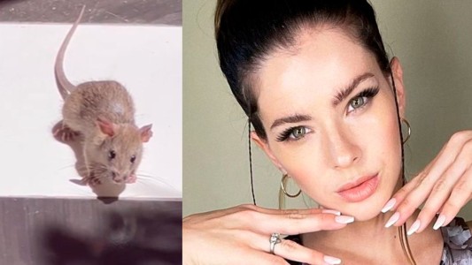 La particular reacción de la China Suárez al ver una rata en su casa