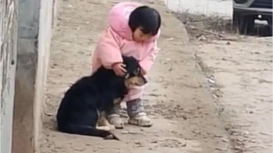 Video: el gesto de una nena para proteger a su perro de los fuegos artificiales