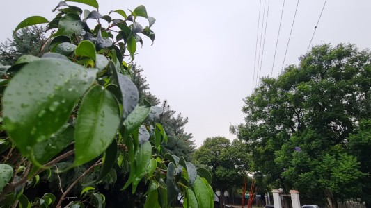 Viernes inestable y con alerta amarilla para el interior de Córdoba