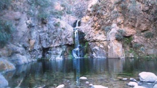 Advierten por algas tóxicas en ríos y lagos de Buenos Aires, Santa Fe, Entre Ríos y Córdoba