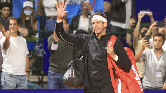 Ovación a Delpo: el emotivo recibimiento de la tribuna en el Argentina Open