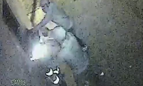 Video: Golpearon a un barrendero para robarle