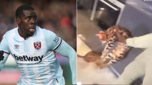 West Ham le aplicó al futbolista Kurt Zouma "la mayor multa posible" por maltratar a su gato