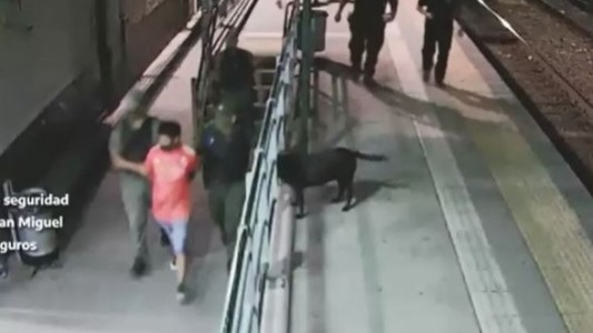 Detuvieron a un hombre con un arma de fuego en la línea San Martín de tren