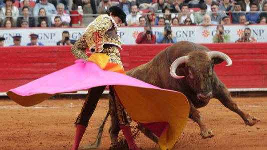 Iniciativa parlamentaria busca prohibir las corridas de toros en la Ciudad de México