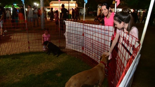 Villa María: adoptaron 120 animales en el marco de las peñas