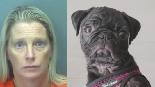 Discutió con el ex y tiró a su perro desde un séptimo piso