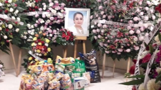 Ultimo deseo: mujer pidió que asistentes a su velorio llevaran comida para animales y no flores