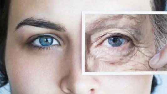 Afirman que cada órgano humano tiene su propio ritmo de envejecimiento