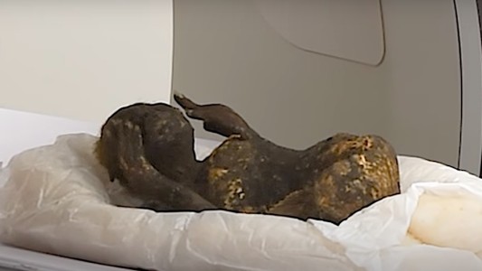 Misterio: científicos analizan una "momia sirena" de 300 años
