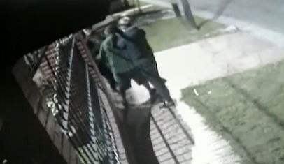 Video: Violento ataque piraña en Morón