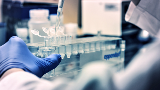 Rusia publicó un documento sobre los laboratorios biológicos financiados por Estados Unidos en Ucrania