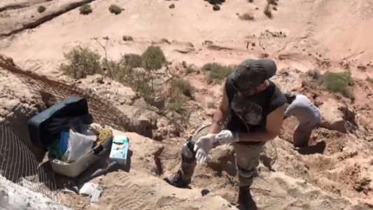 Hacía actividad física y se encontró con restos fósiles de un dinosaurio