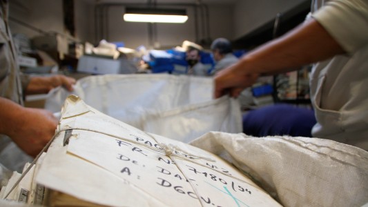 La AFIP donó 14.700 kilos de papel a la Fundación Garrahan