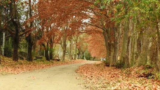 El tiempo en el comienzo del otoño