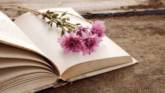 Día Mundial de la Poesía: "Es más necesaria que nunca en tiempos turbulentos", según la Unesco